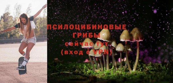 а пвп мука Верея
