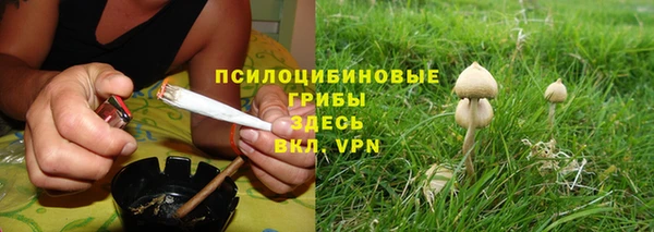 a pvp Бугульма