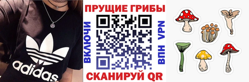Псилоцибиновые грибы Psilocybine cubensis Катайск
