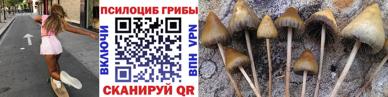 сайты даркнета состав  Катайск  Псилоцибиновые грибы Cubensis  купить закладку 
